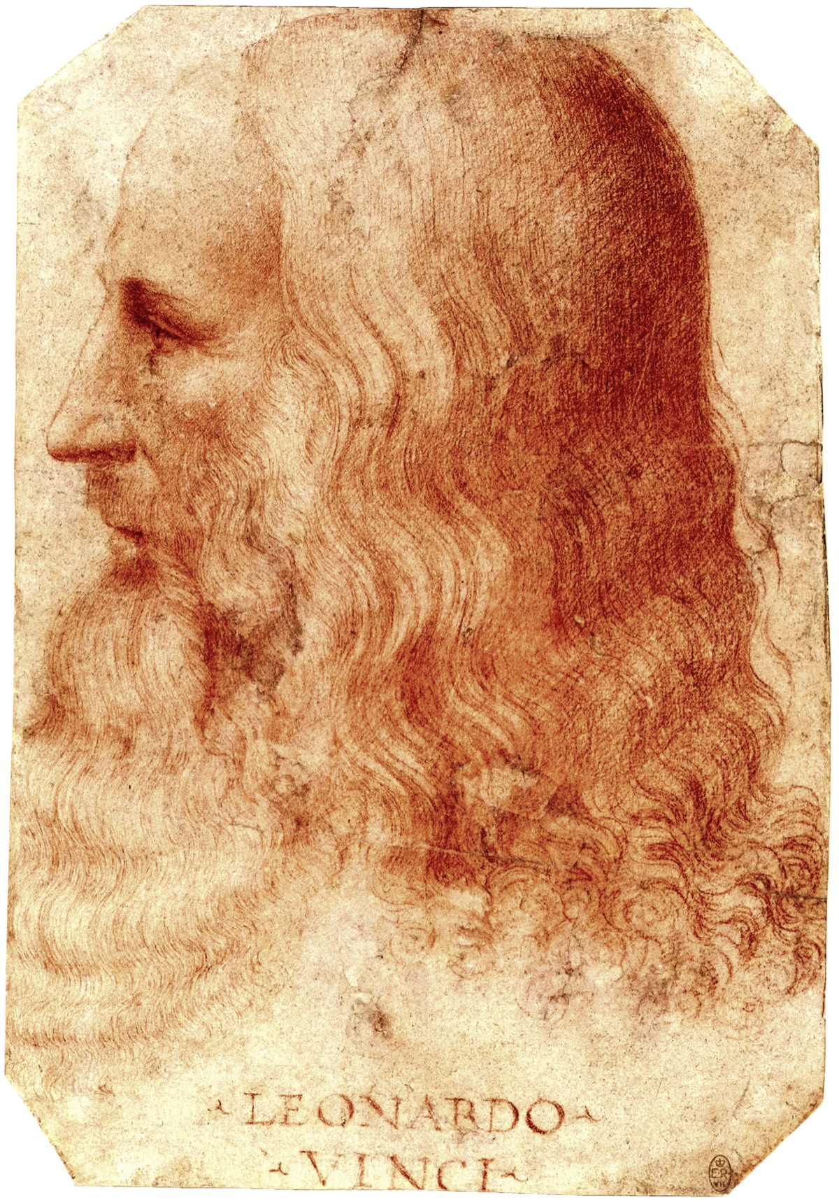 Portrait of Leonardo da Vinci