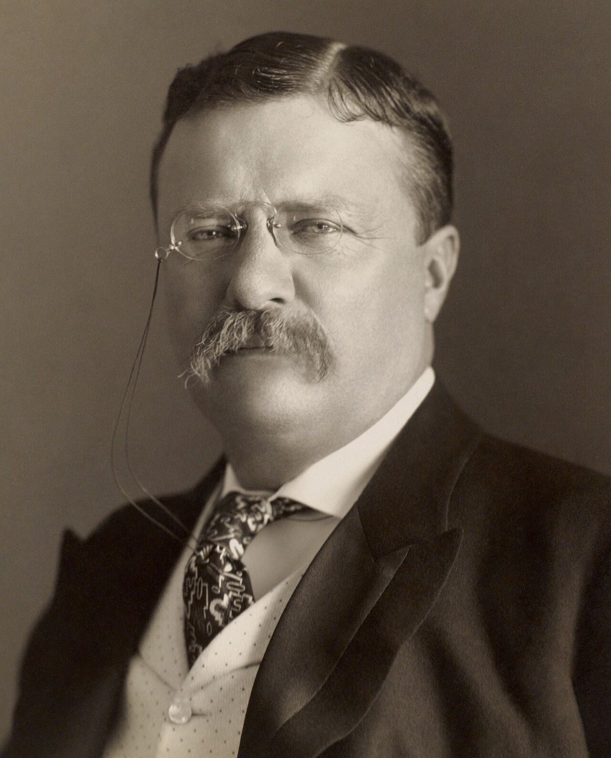 Portrait of Theodore Roosevelt
